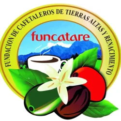 Imagen1